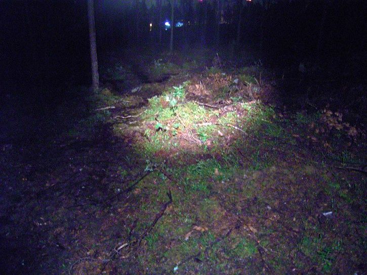 meridaprov20.jpg ht=544