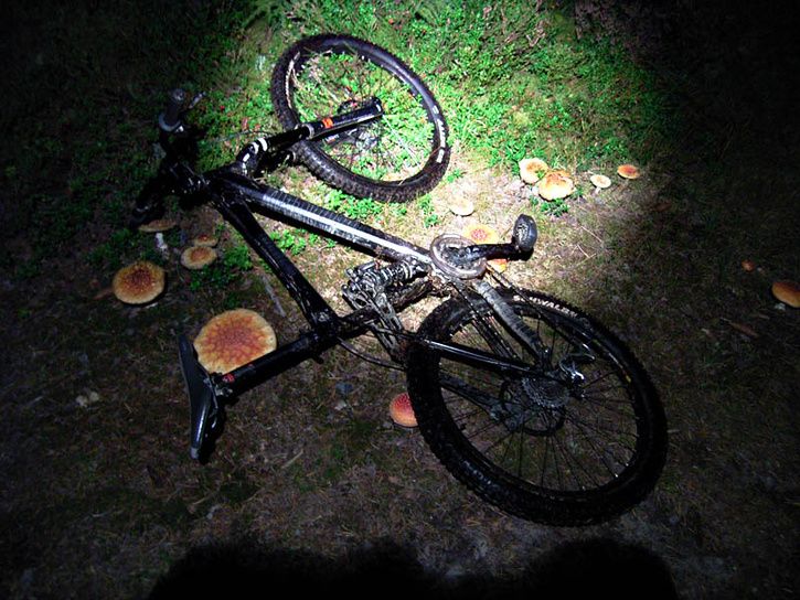 middagsmat.jpg ht=544