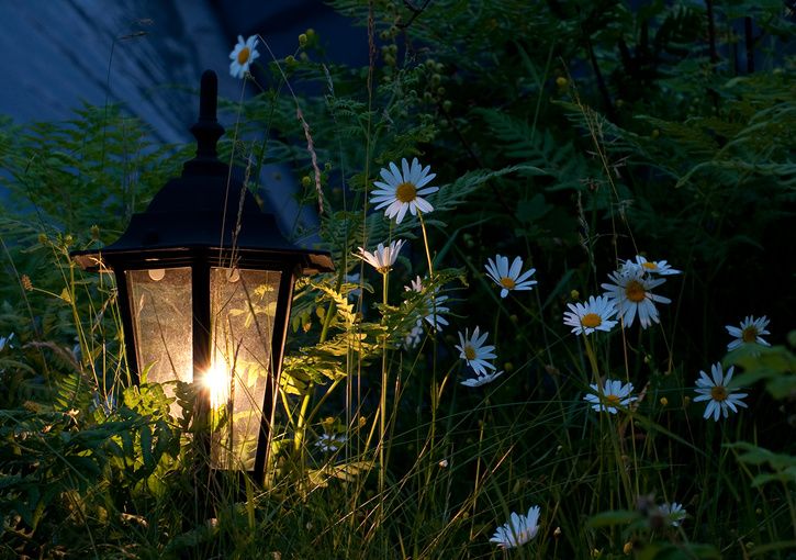 midsommar.jpg ht=510