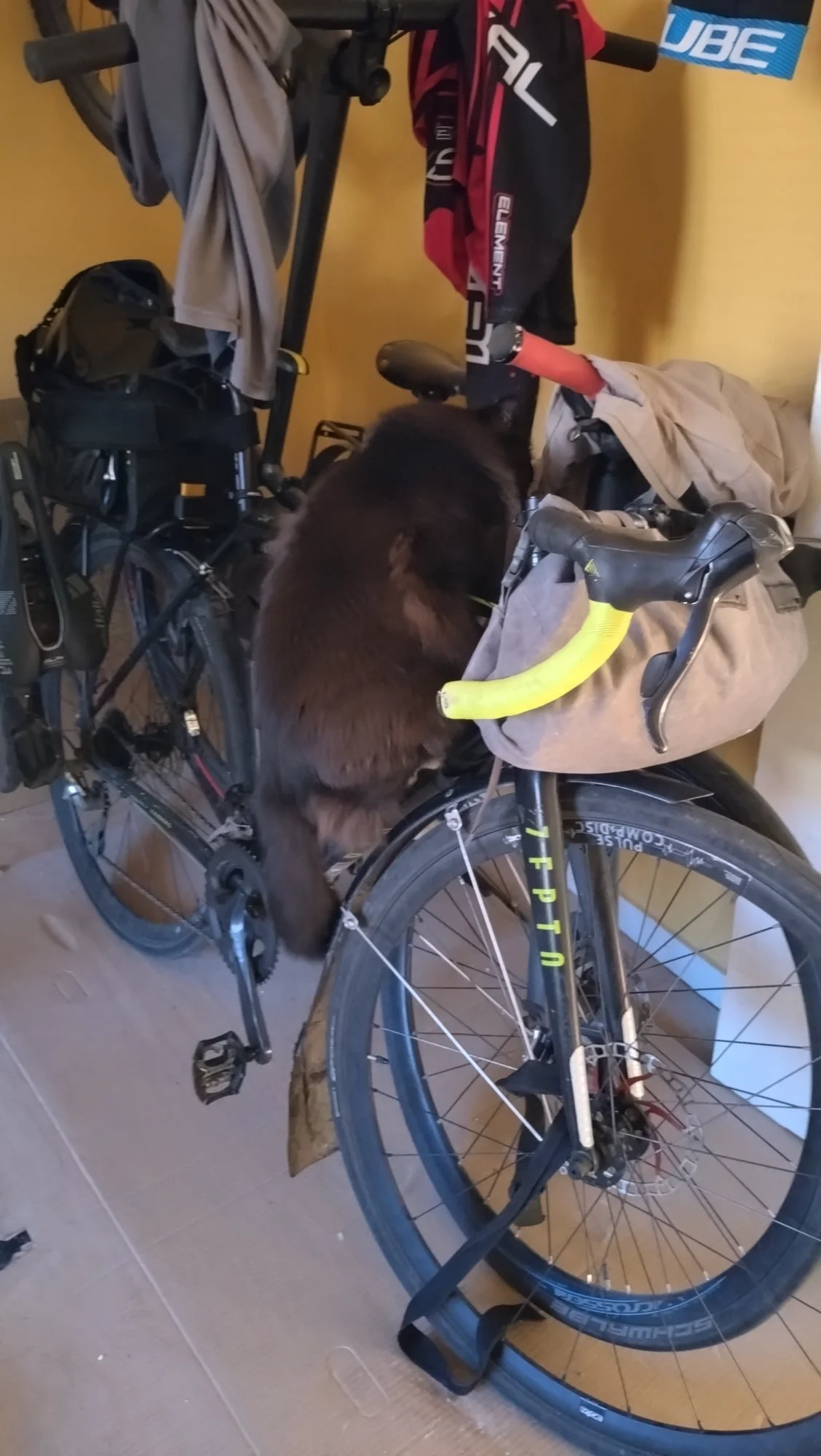Milo_cykelklättring02.webp