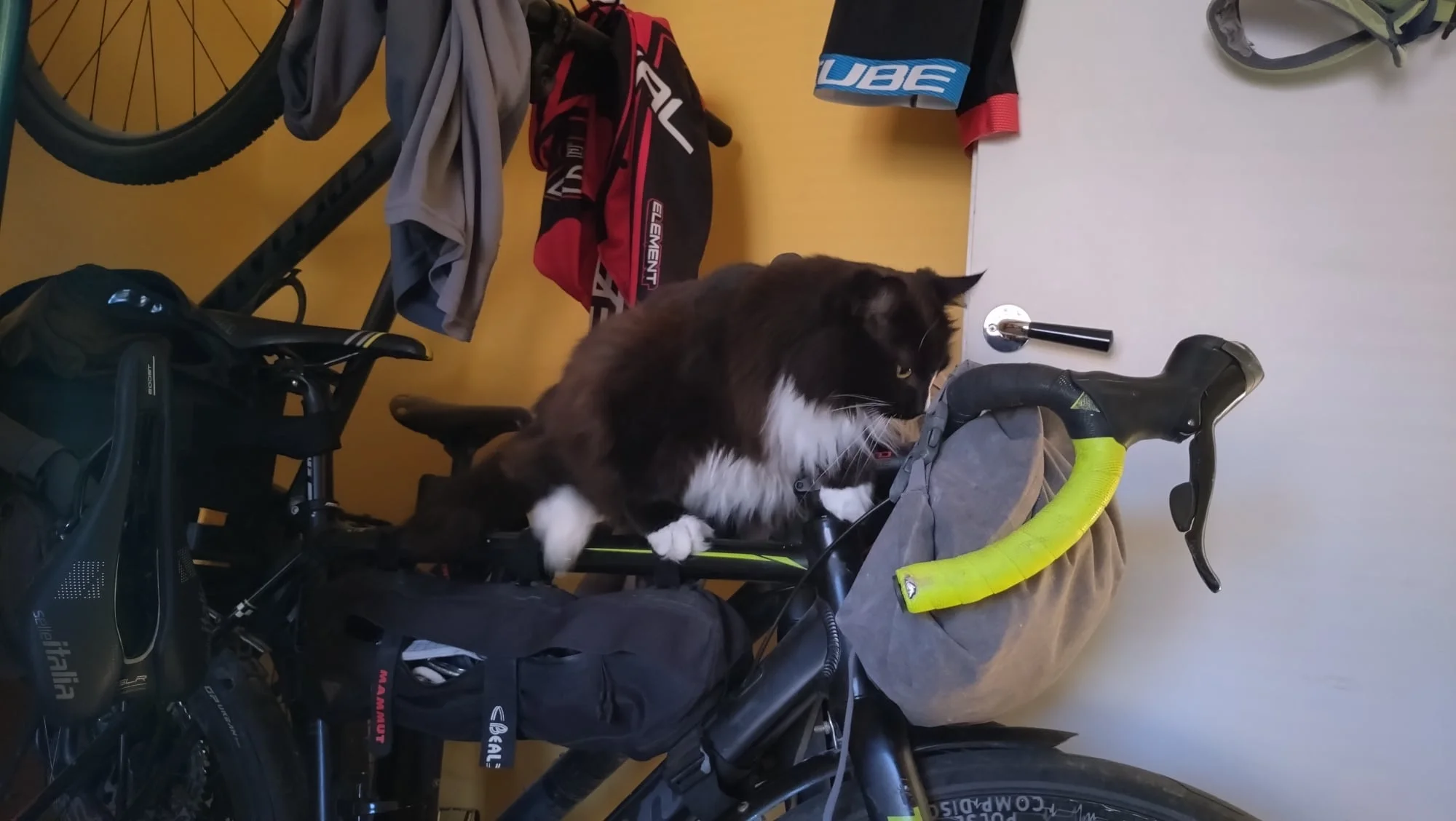 Milo_cykelklättring03.webp