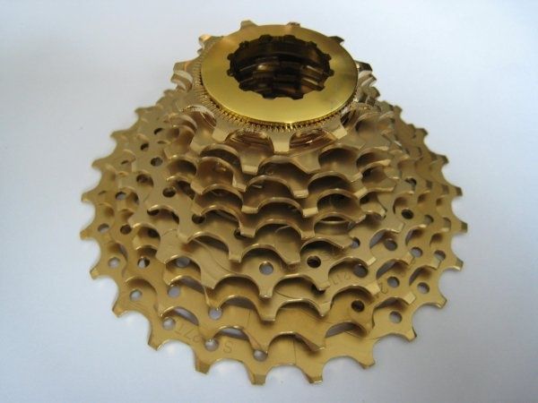 minkassett11-27Tgold.jpg ht=450