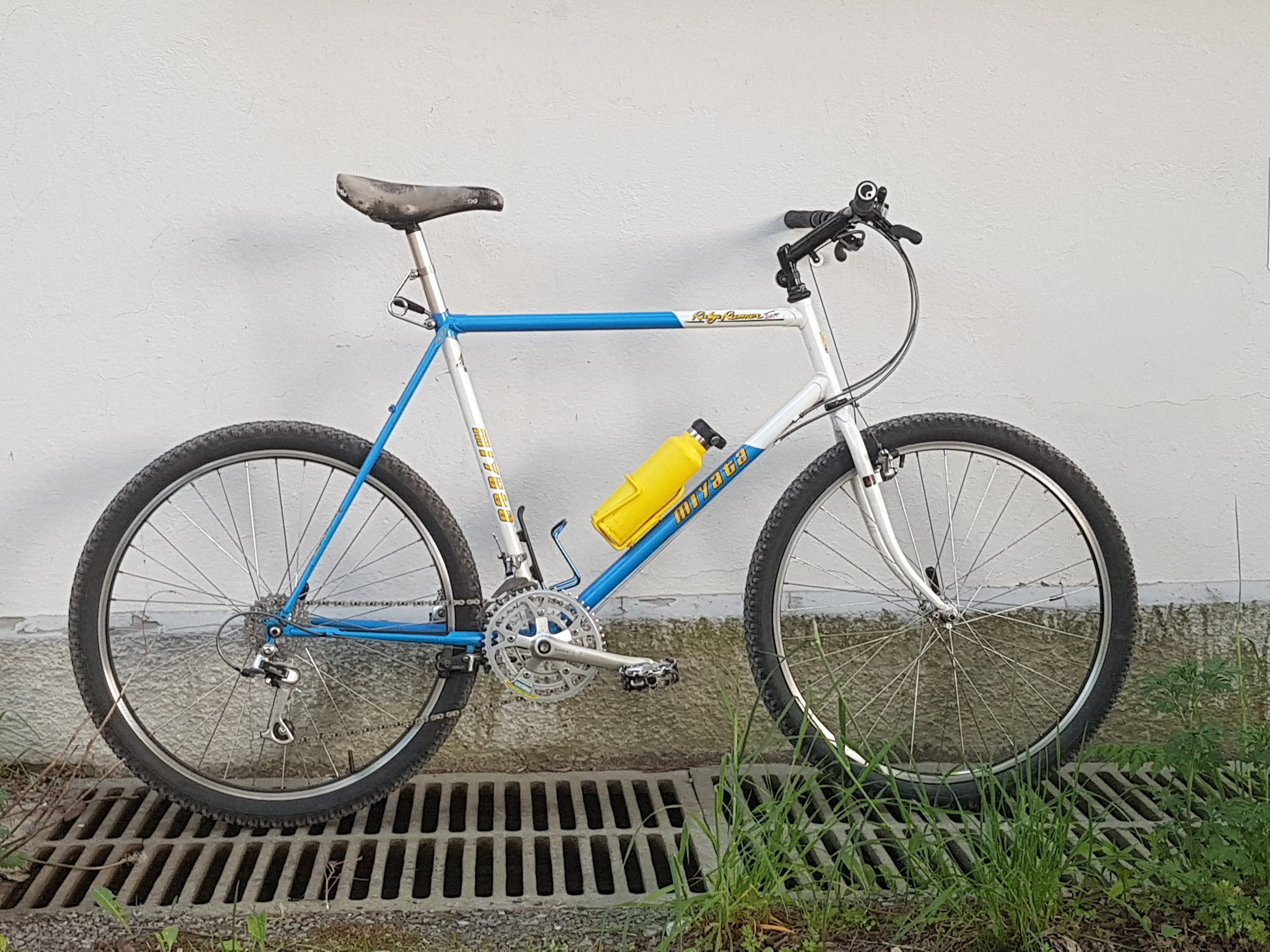 Min Ridge Runner.jpg