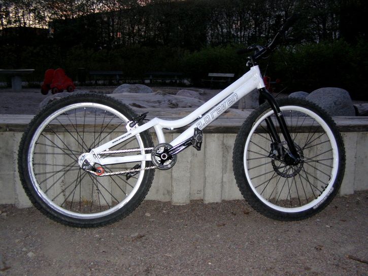 minraven2.JPG ht=544