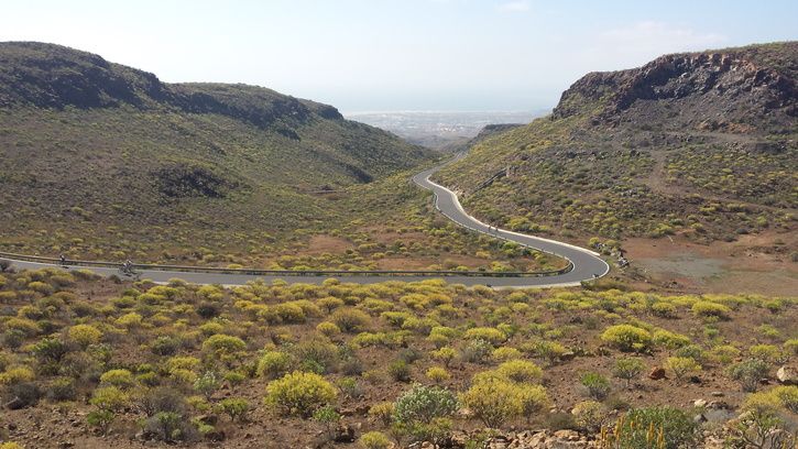 Mirador1d.jpg