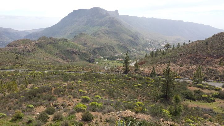 Mirador2a.jpg