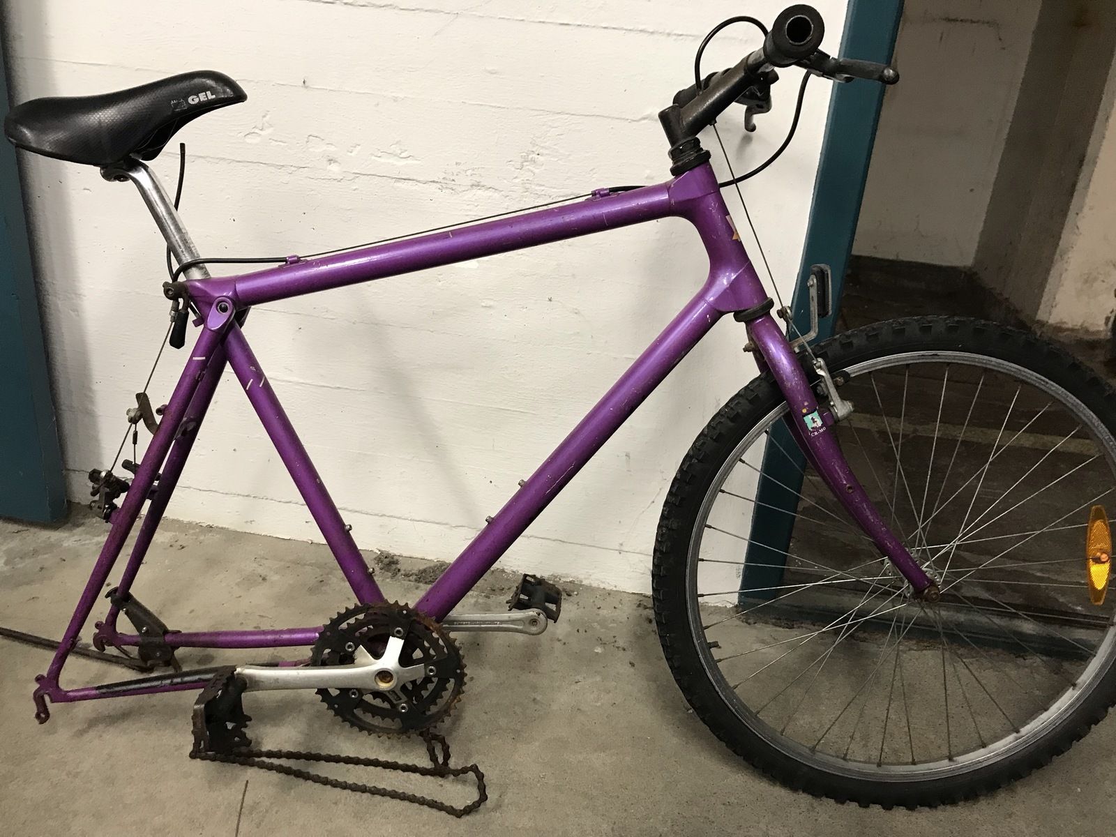 Miyata_1.jpg