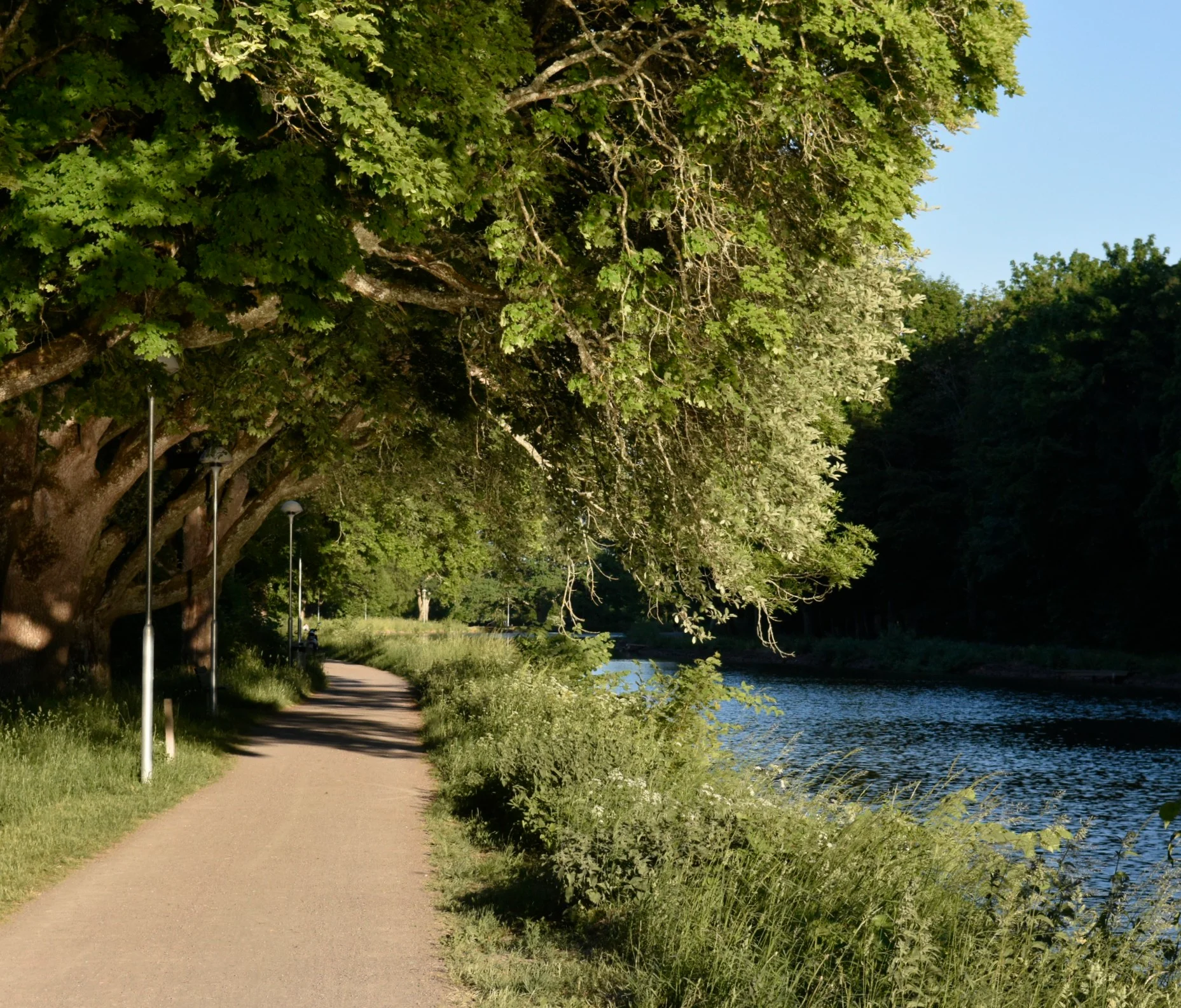 Miyata_121copyr_OlofA (1).webp