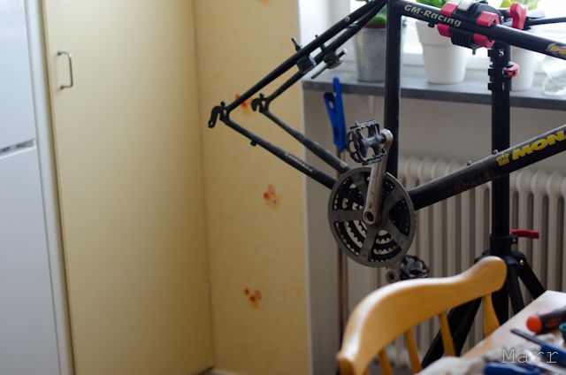 MNN_6912.jpg