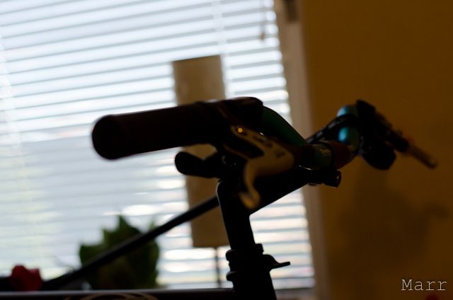 MNN_6937.jpg