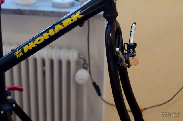 MNN_6938.jpg