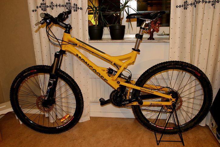 MongooseTeocali.jpg ht=483