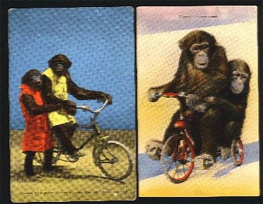 monkeybike.jpg ht=290