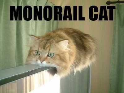 monorail-cat.jpg ht=300