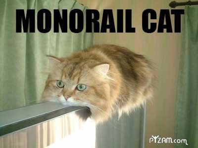 MonorailCat.jpg ht=300