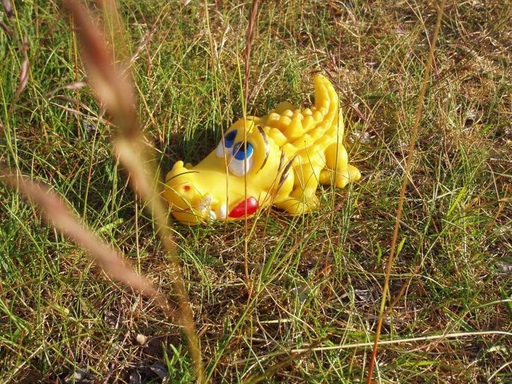 monster.JPG ht=544