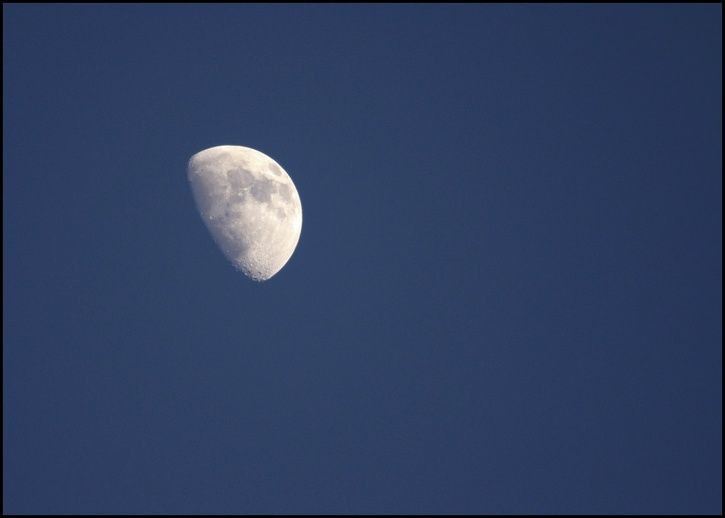 moon.jpg ht=518