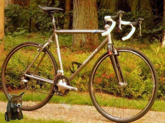 moots_fox_small.jpg ht=480