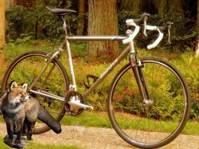 moots_rav2_small.jpg ht=480