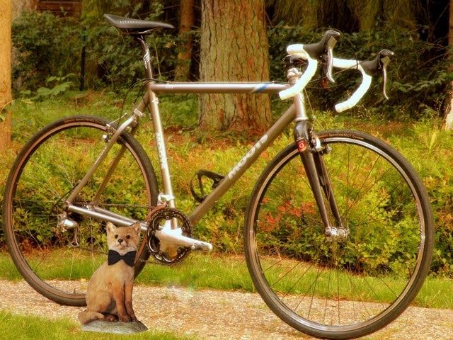 moots_rav3_small.jpg ht=480