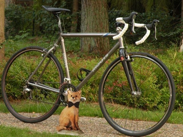 moots_rav4_small.jpg ht=480