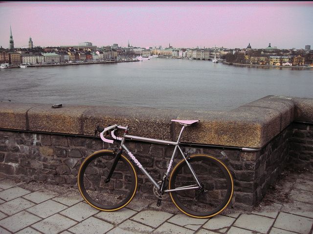 mootsride.jpg ht=480
