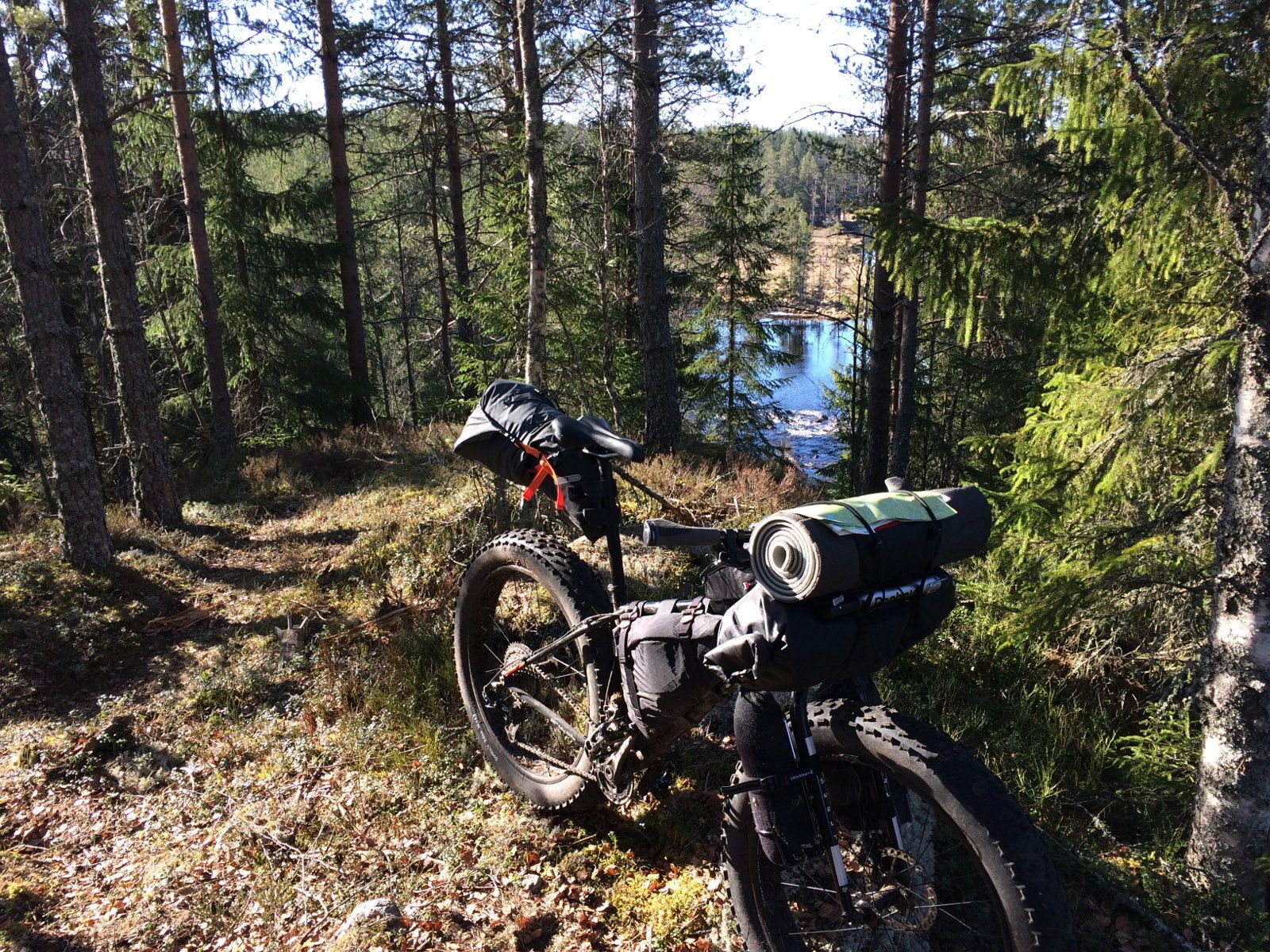 morgon.jpg