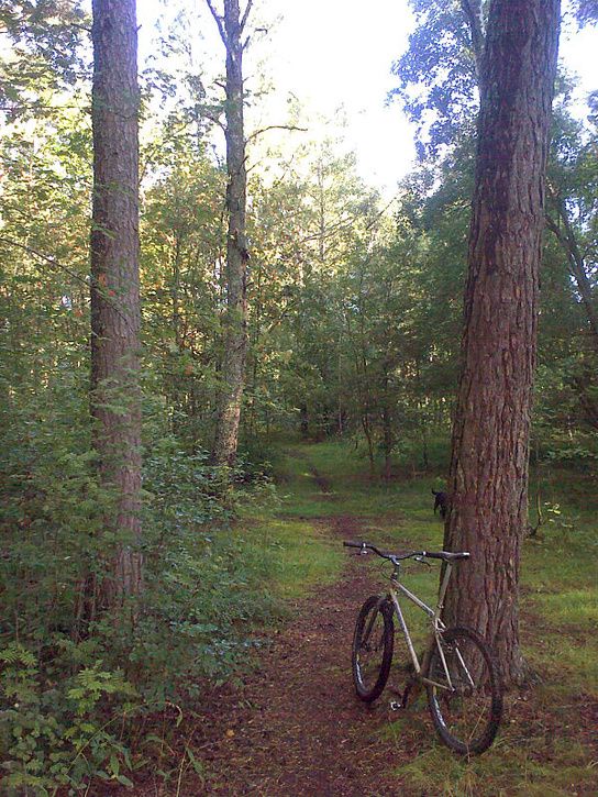morgonpromenad.jpg ht=725