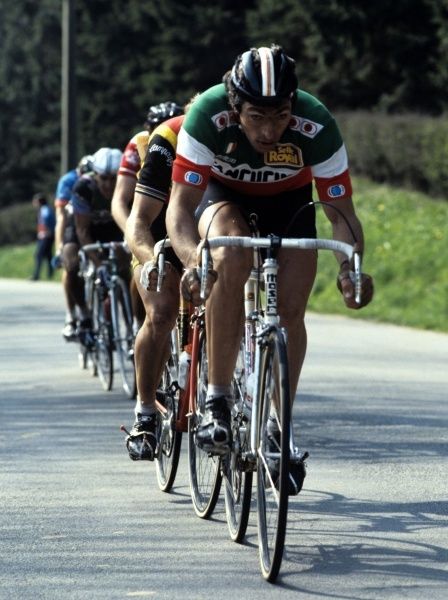 Moser.jpg ht=600