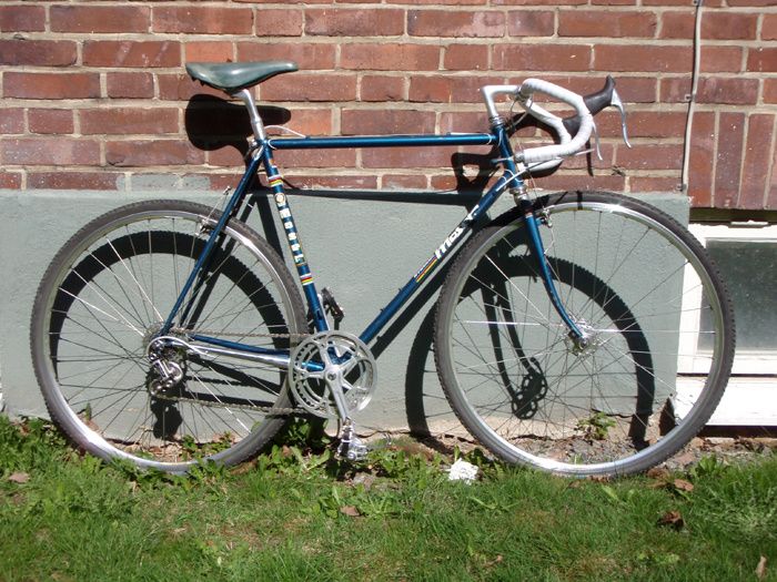 moser3.jpg ht=525