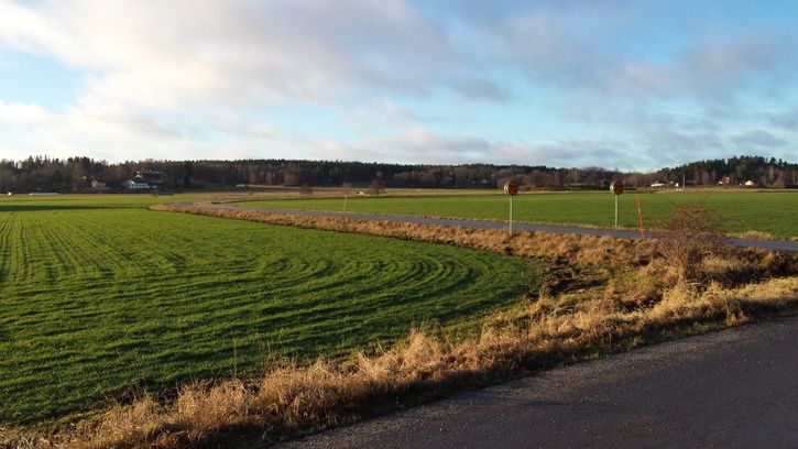 MotLindby.jpg