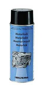 motorfrg.jpg ht=305