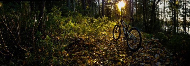 mtb-1.jpg