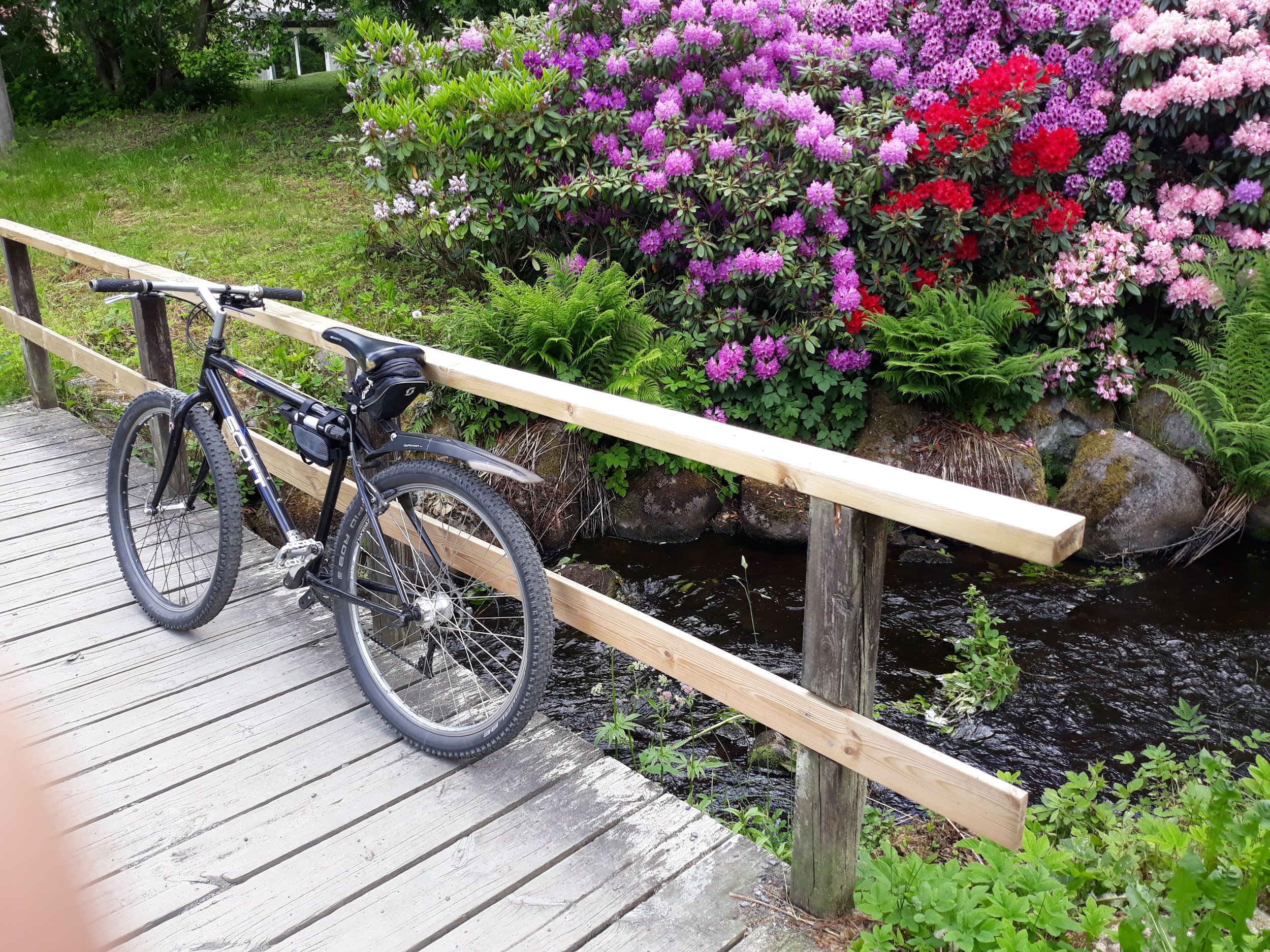 mtb 11 juni 2022.jpg