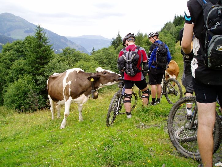 MTB-BadGastein2005082.jpg ht=544