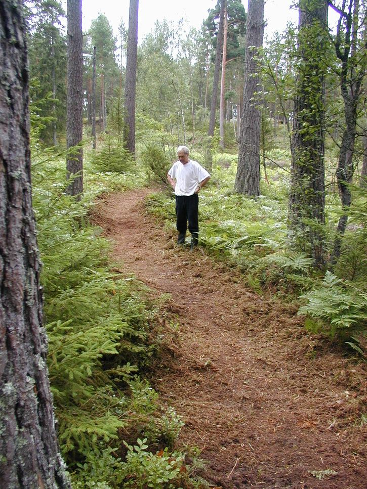 MTBbanaefter2007.JPG