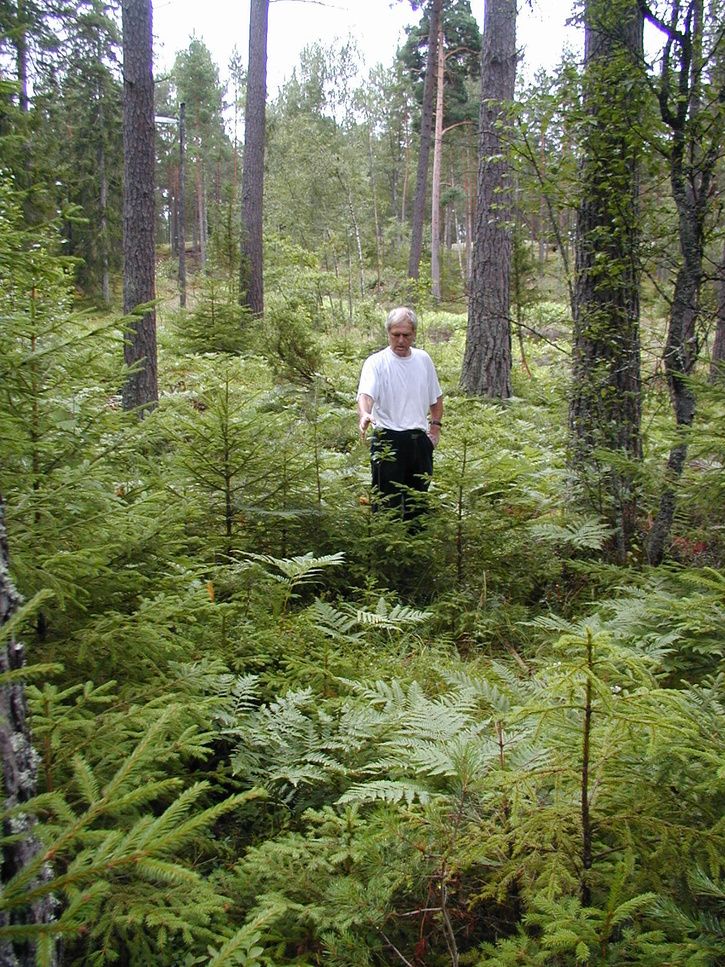 MTBbanafre2007.JPG