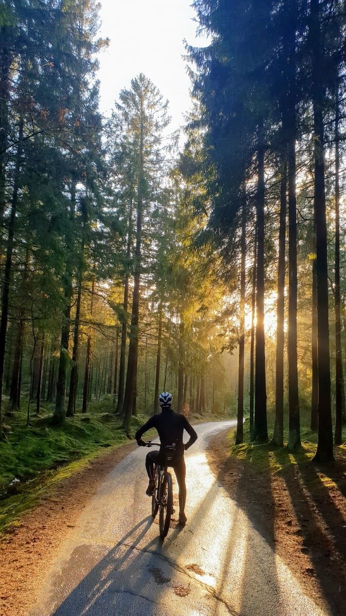 mtb.jpg