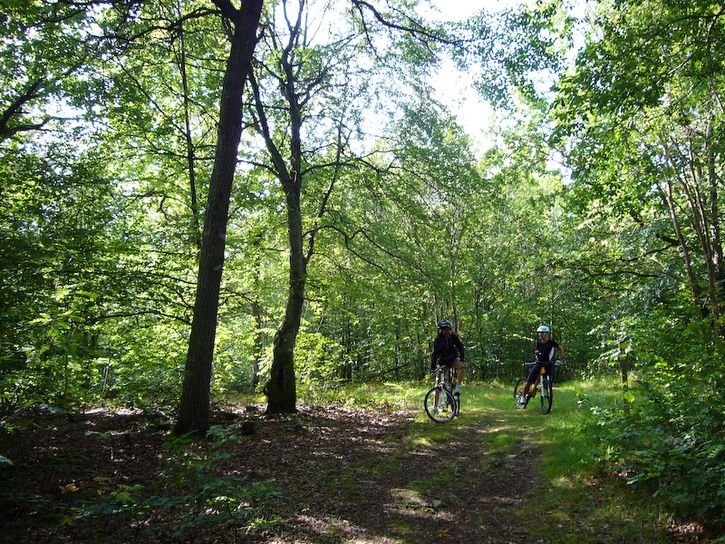 mtb1.jpg ht=544