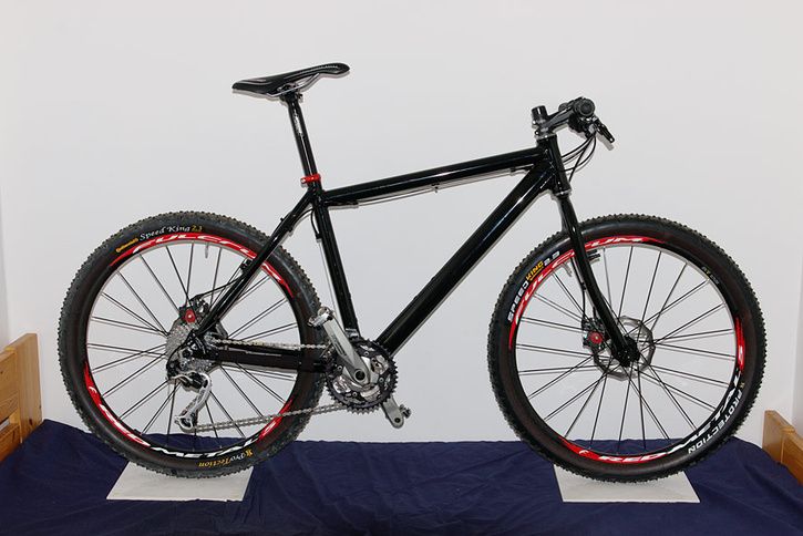 mtb1.jpg ht=484