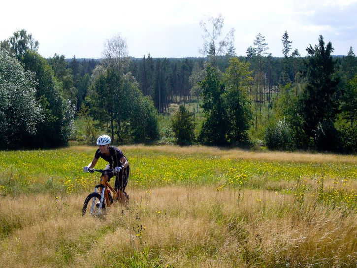 mtb3.jpg ht=544