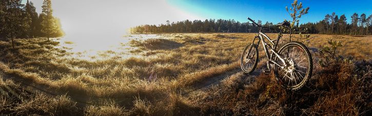 mtb_myr-1.jpg