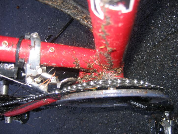 MTB_regn_004.jpg ht=544