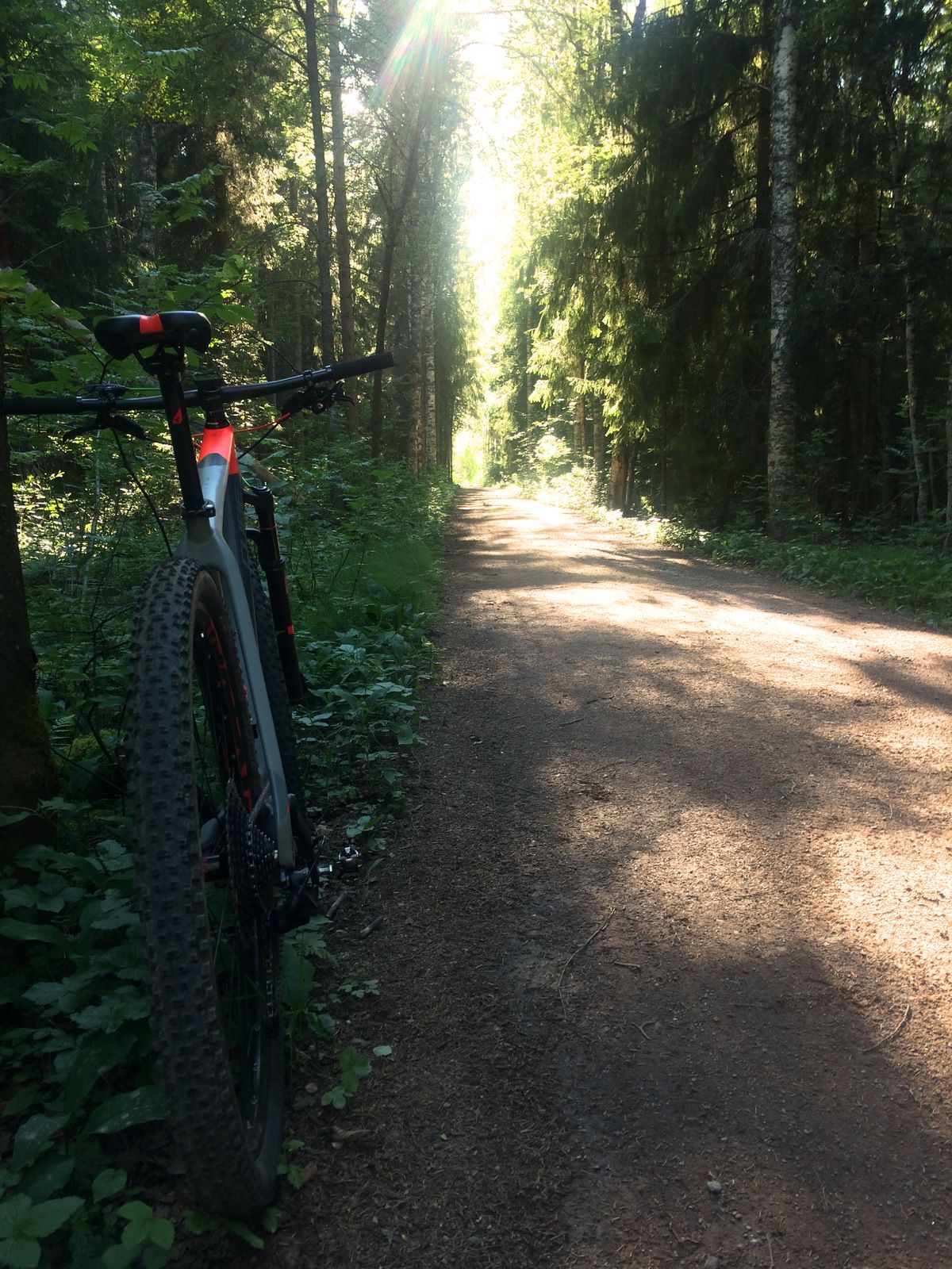 mtb_tallberg.jpg