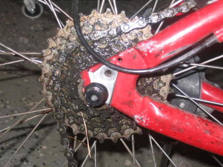 MTB_trasig_001.jpg ht=544