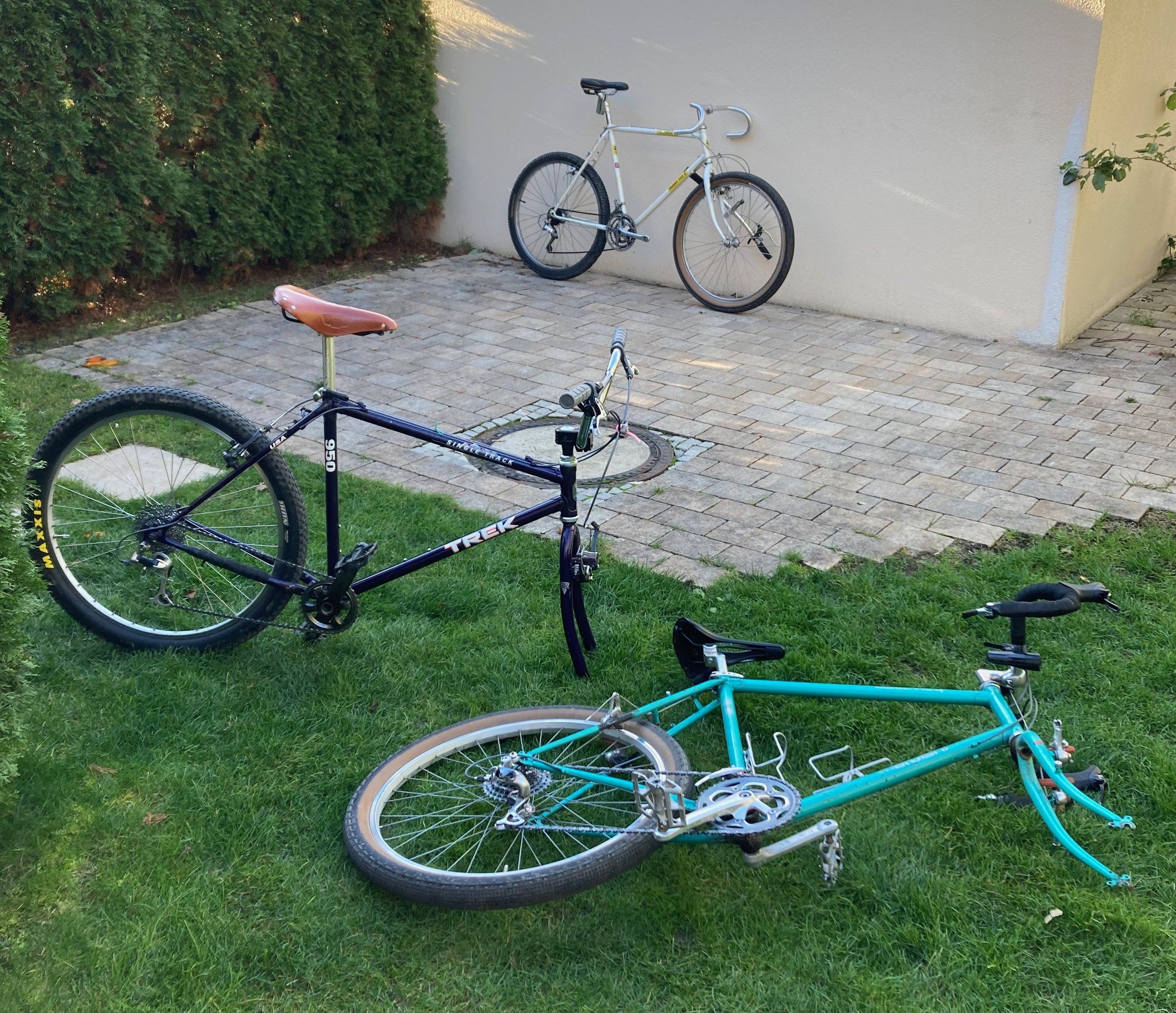 MuddyFox-Courier-1987-Kannibalism - 1.jpeg