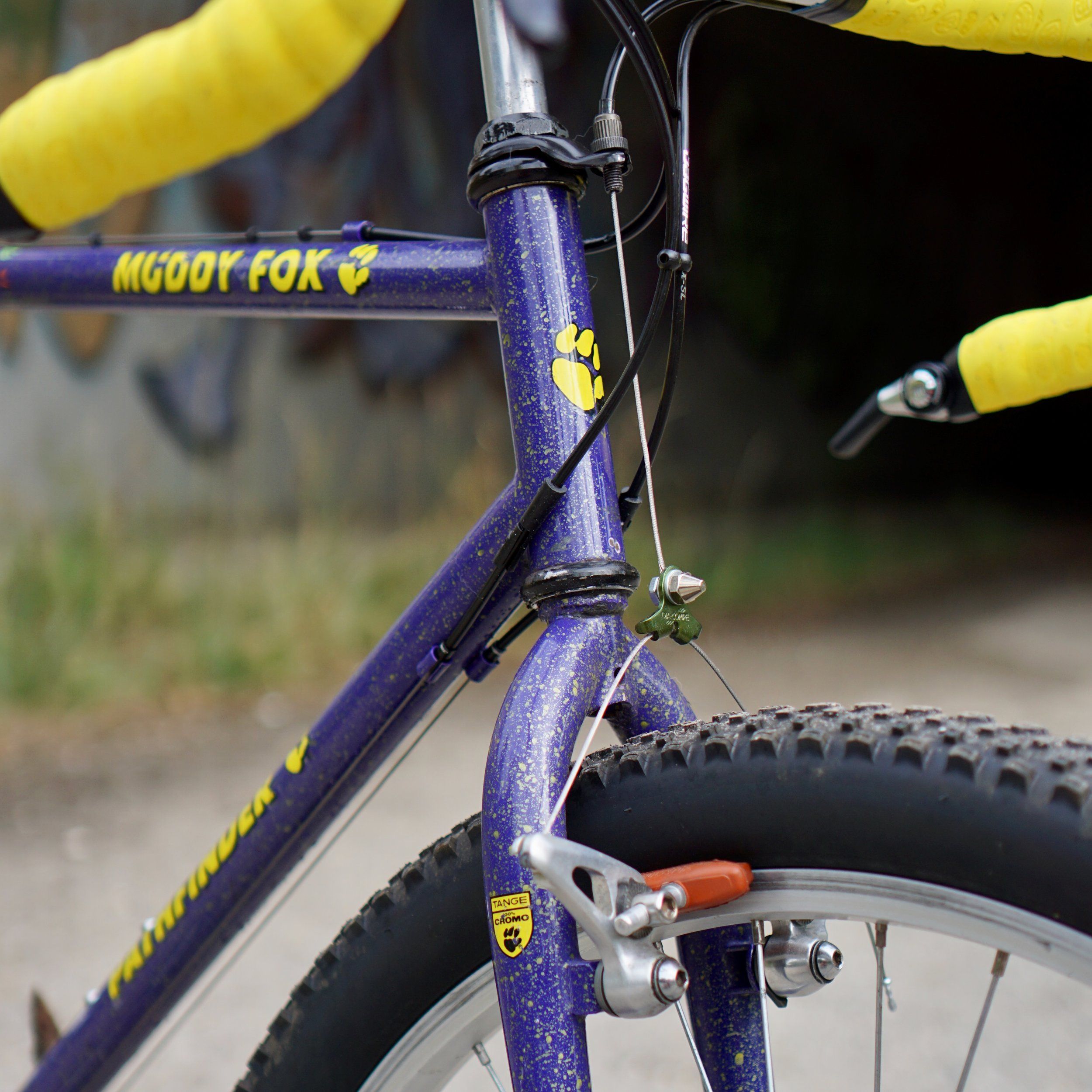 MuddyFox-Pathfinder - 1 (5).jpeg