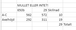 mullet_eller_inte.PNG
