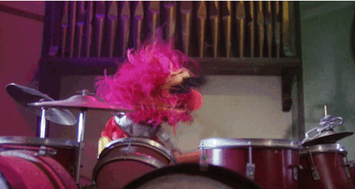 Muppet-Animal-Yeah.gif