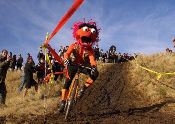 muppet_cyclo_cross.jpg